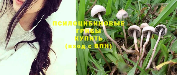 соль курить ск Тихвин