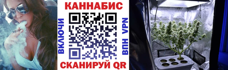 наркотики  Ялта  Конопля OG Kush 